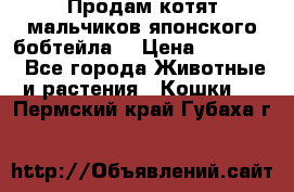 Продам котят мальчиков японского бобтейла. › Цена ­ 30 000 - Все города Животные и растения » Кошки   . Пермский край,Губаха г.